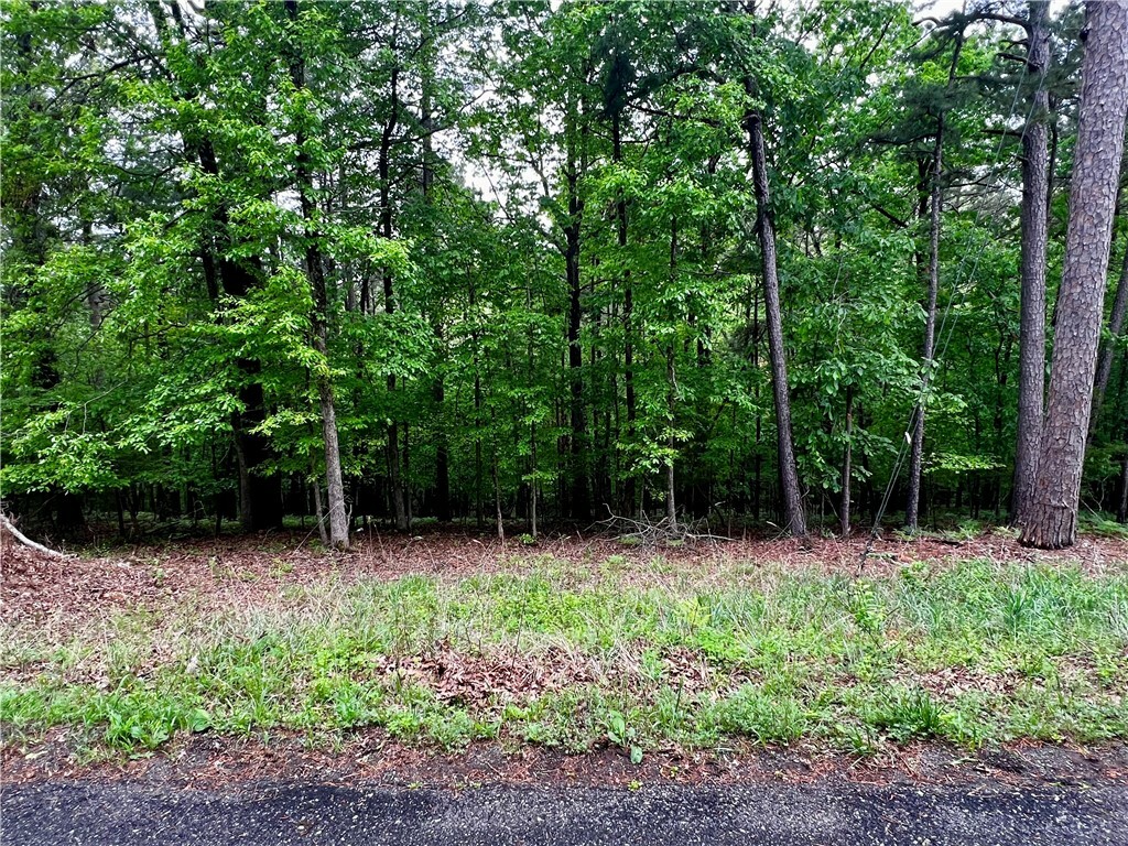 Lot 959 Spruce Drive  Rogers AR 72756 photo