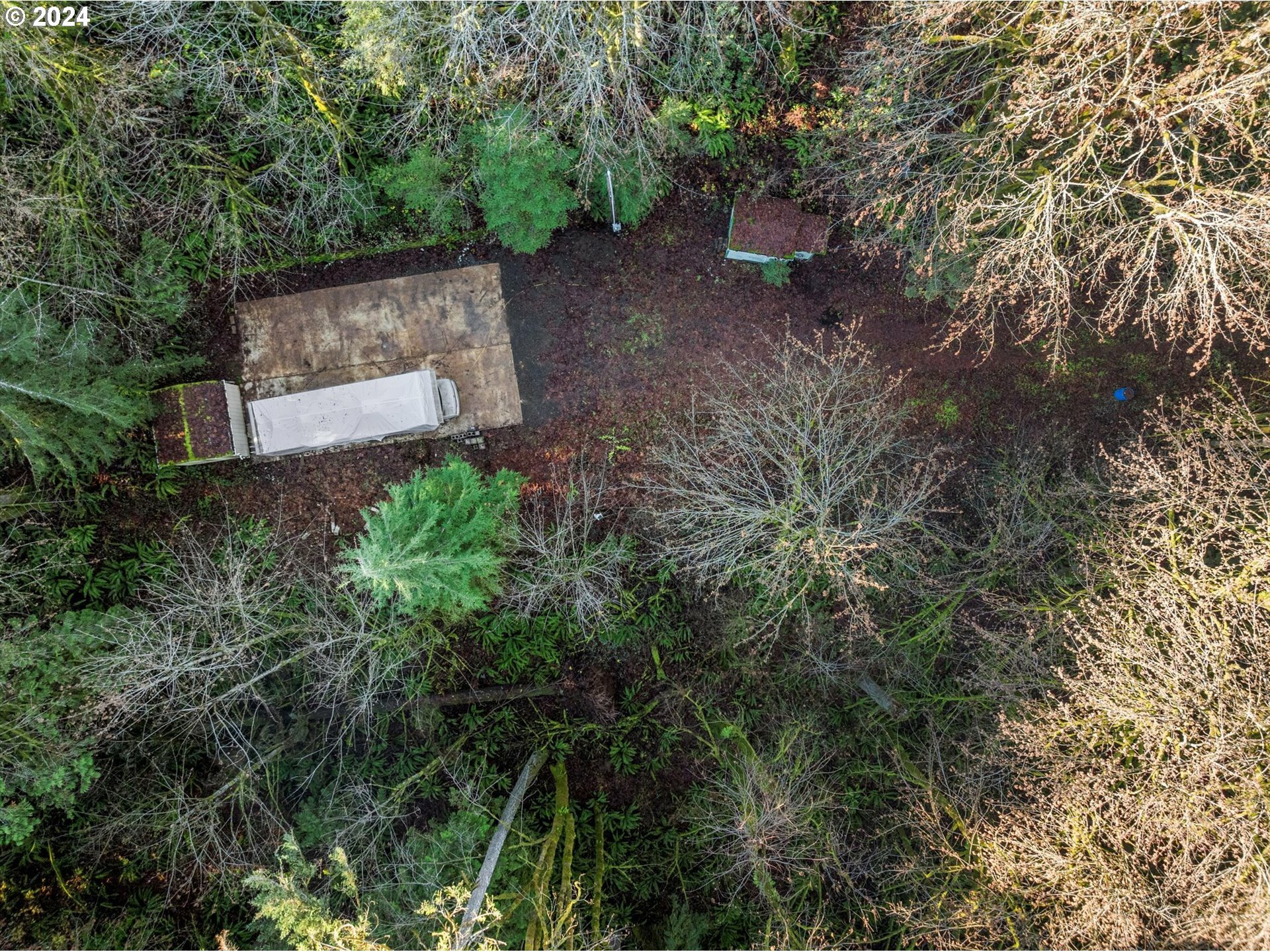 Property Photo: 27010 NE Neill Rd OR 97132