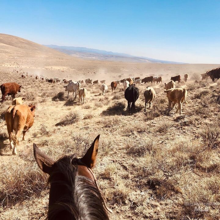 Tbd Crooked Creek  Jordan Valley OR 97910 photo