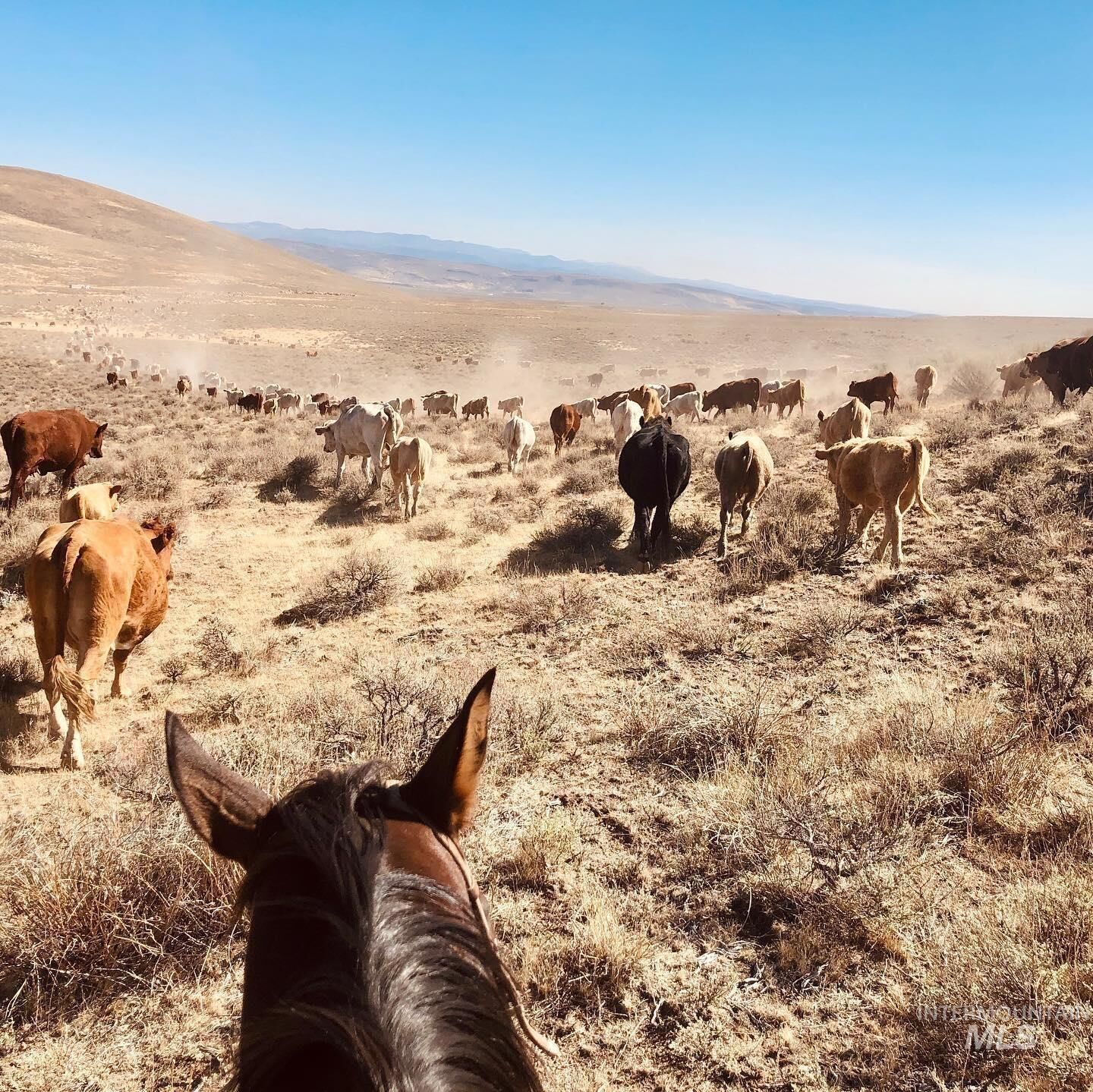 Property Photo:  Tbd Crooked Creek  OR 97910