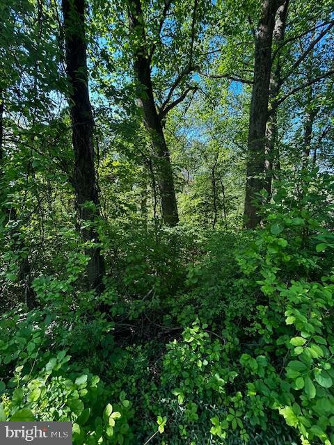 Property Photo: 81 Mile Trail PA 17320