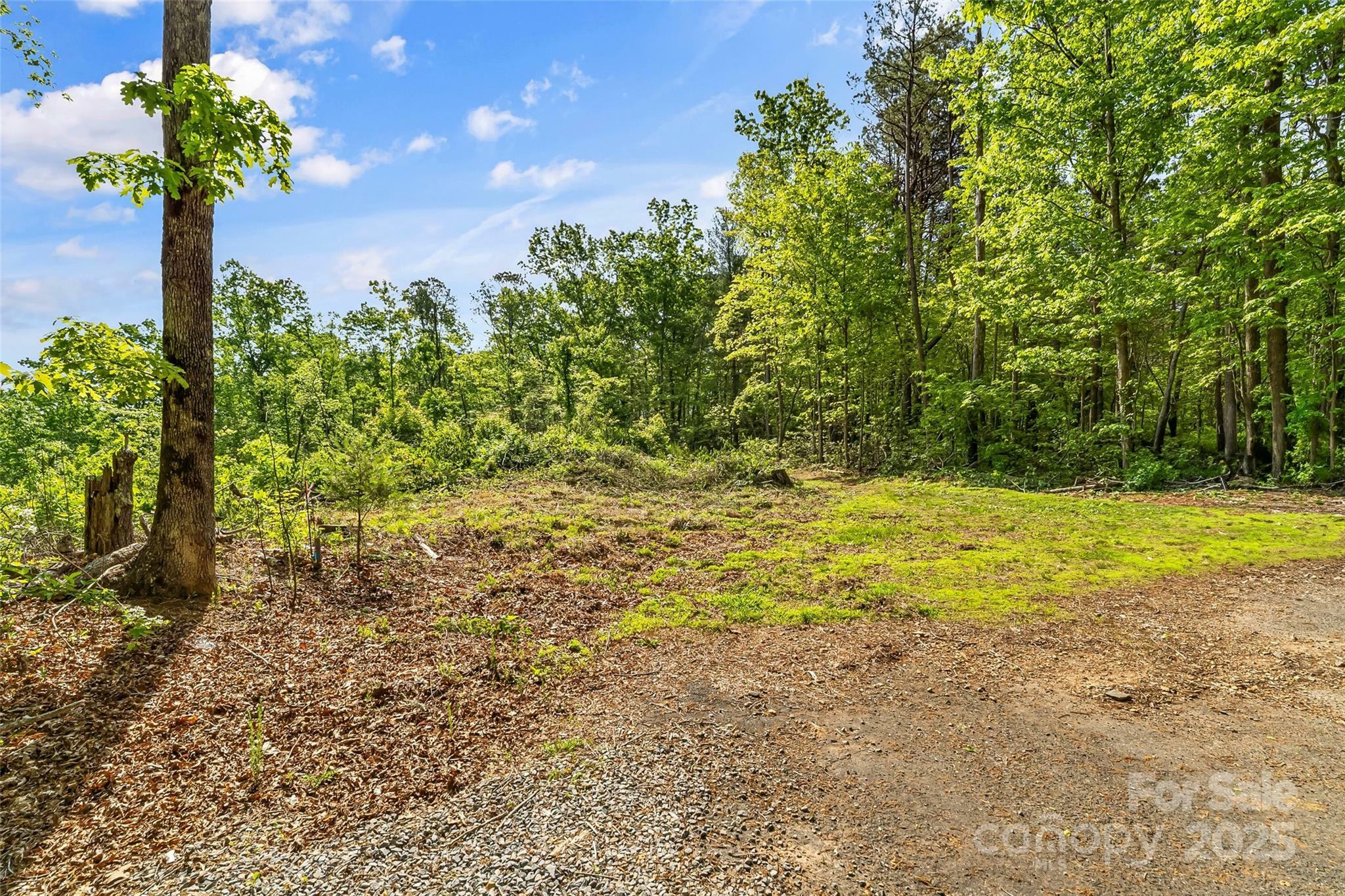 Property Photo: 377 Amelia Drive NC 28752