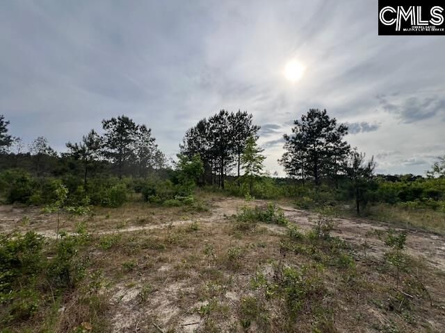 Property Photo:  Fyf 4 Fox Young Rd Fyf 4  SC 29164 