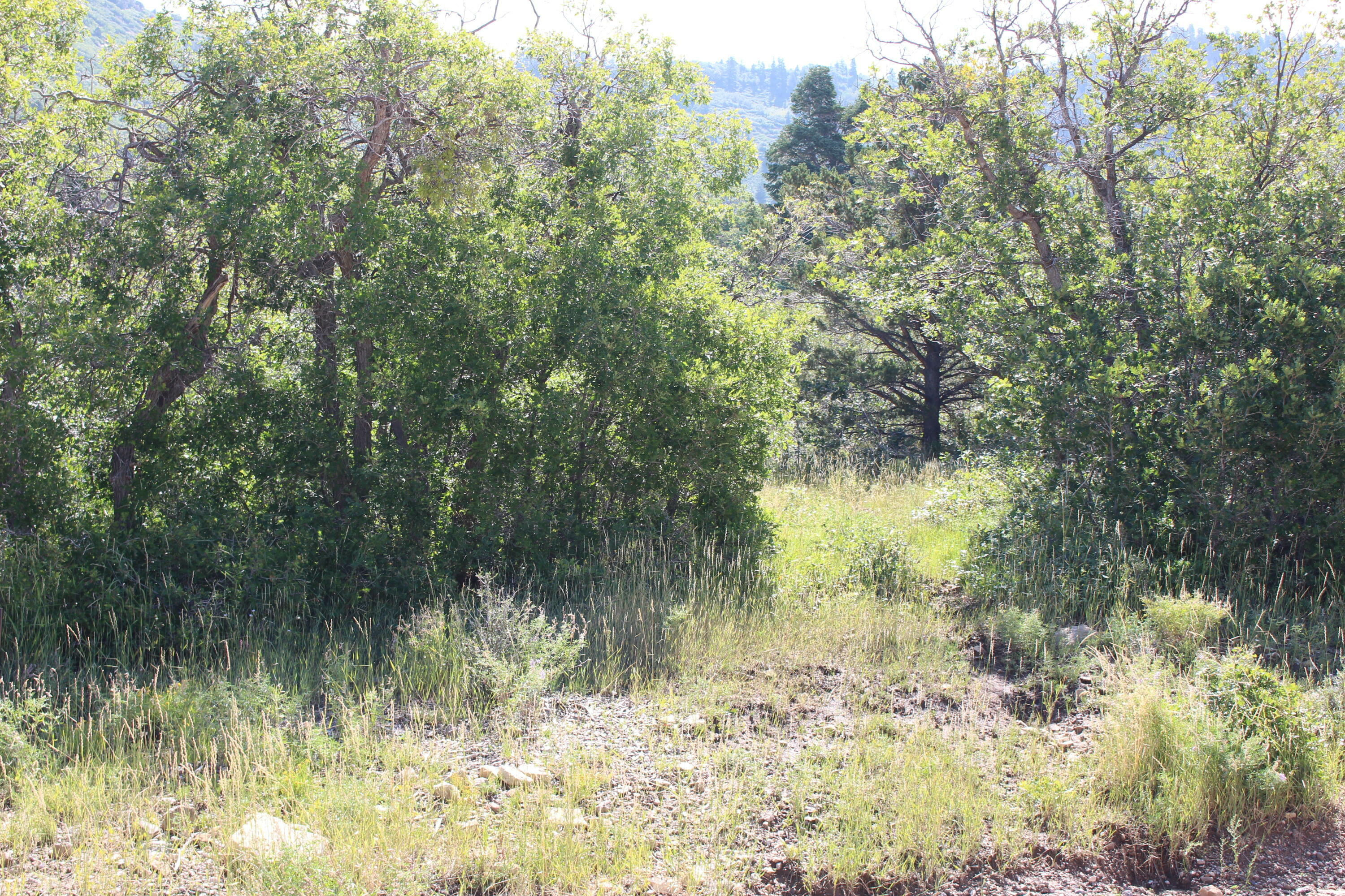 Property Photo: 2267 S High Mountain View Dr UT 84720