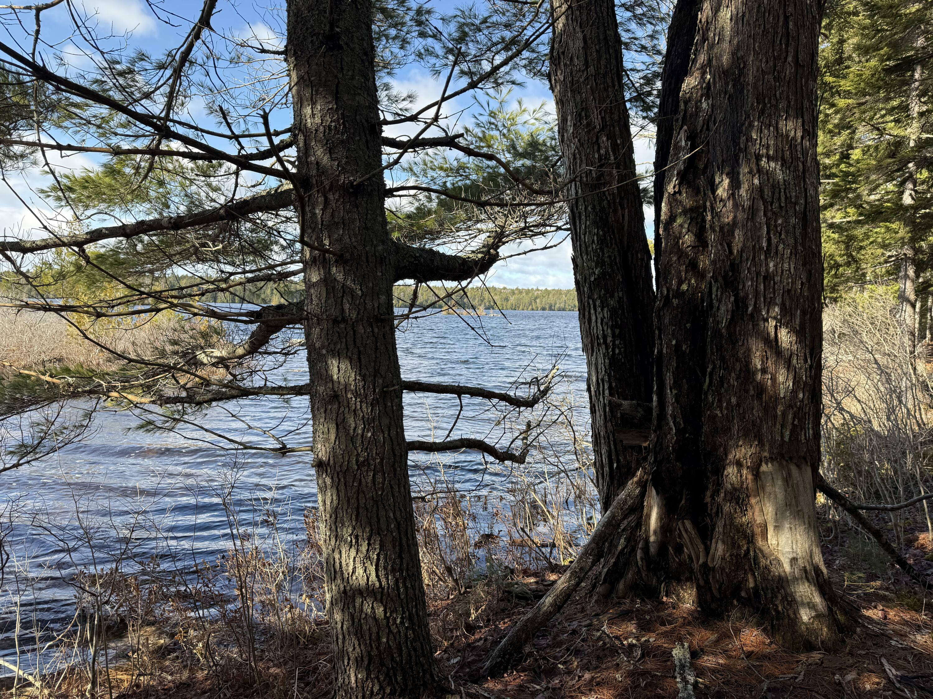 Property Photo: Lot E Birch Point Road ME 04657