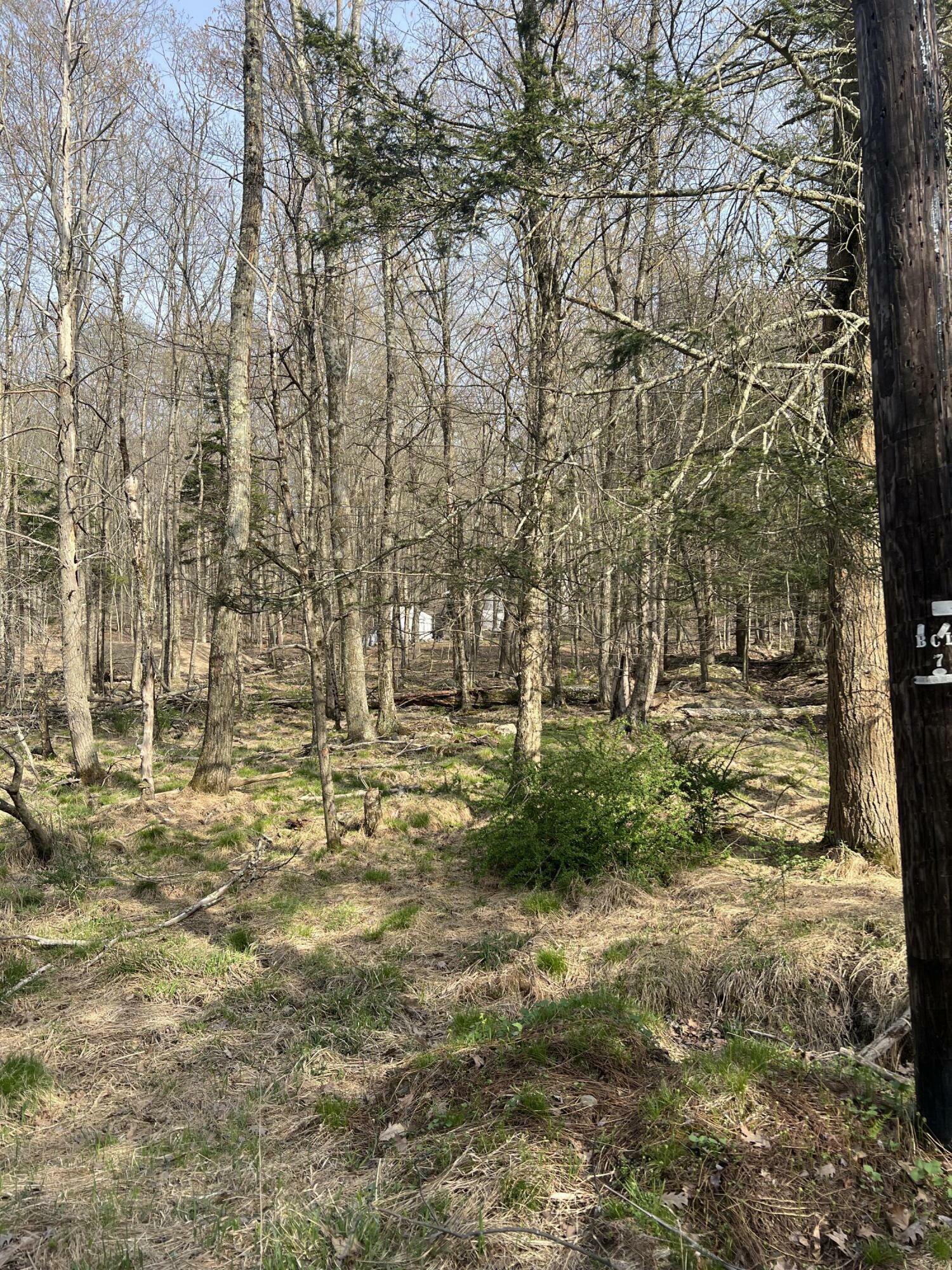 Property Photo: Lot 719 Elk Run Road PA 18347