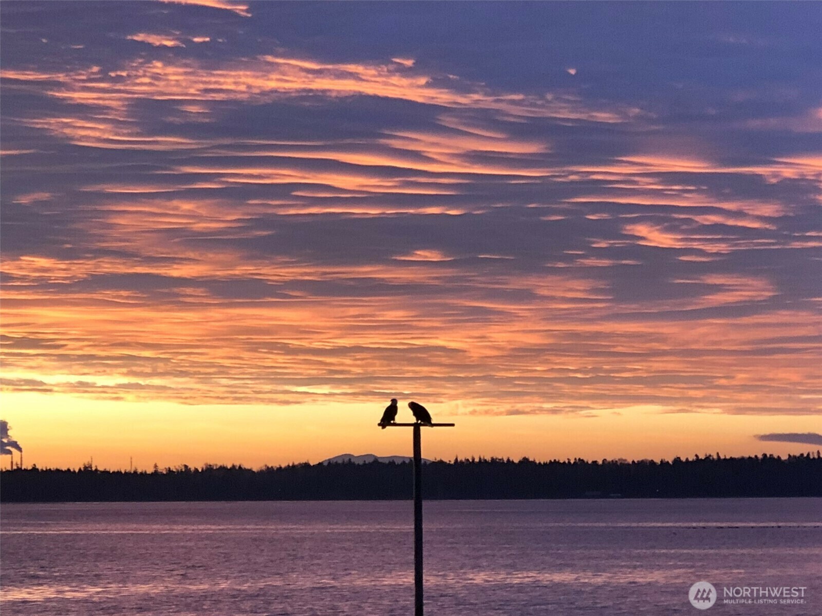 Property Photo: 5411 Nootka Loop WA 98230