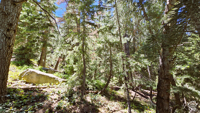 Property Photo: 55 Timber Ridge Rd A55 UT 84647