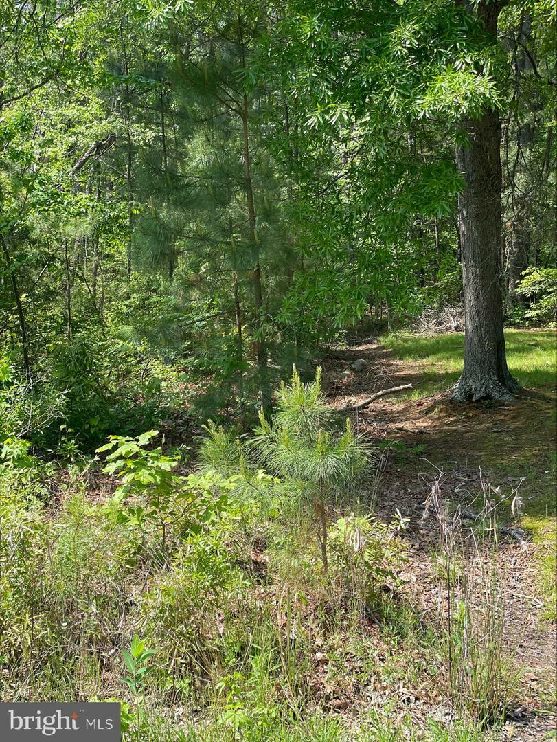 Property Photo: Tenth Street VA 22443