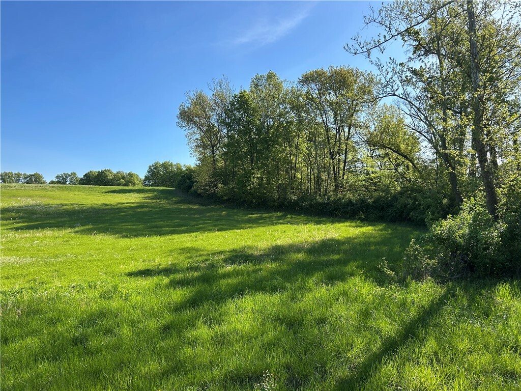 Property Photo: Rte 29 Route IL 62568