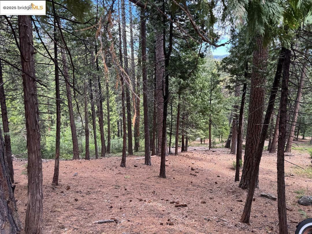 Property Photo: 24871 Prospector Dr CA 95346