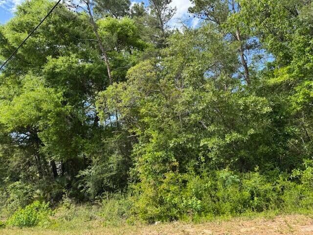 Property Photo: 9551 Bone Bluff Drive FL 32566