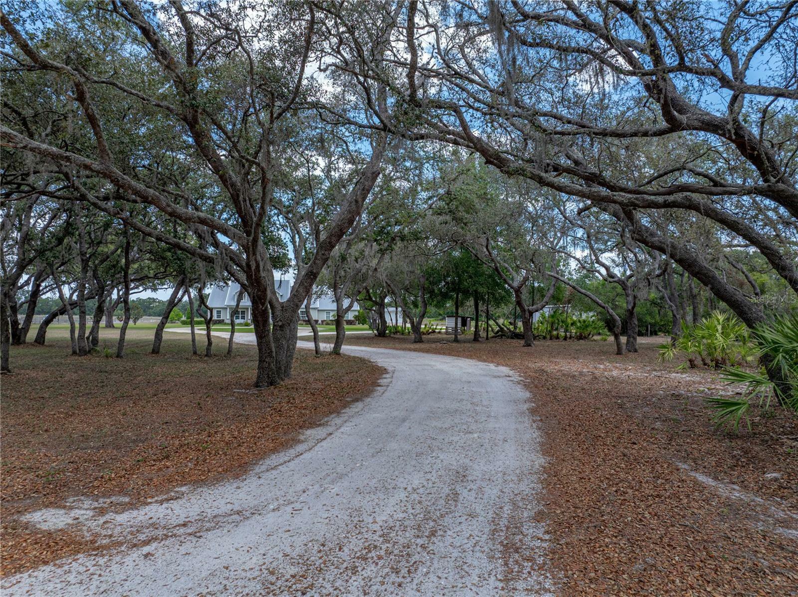 Property Photo: 3805 Mammoth Grove Road FL 33898