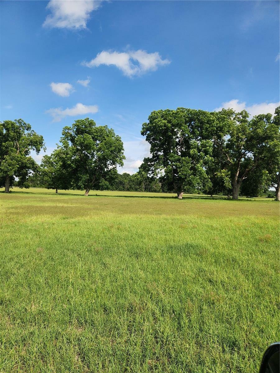 Property Photo: 9510 228th Terrace FL 32071