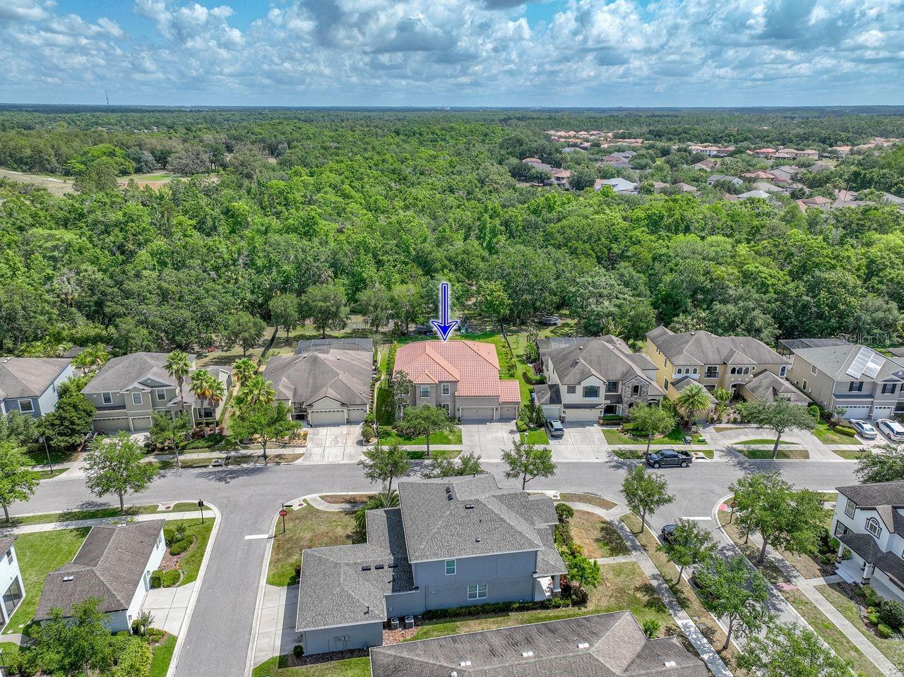 Property Photo: 7927 Hampton Lake Drive FL 33647