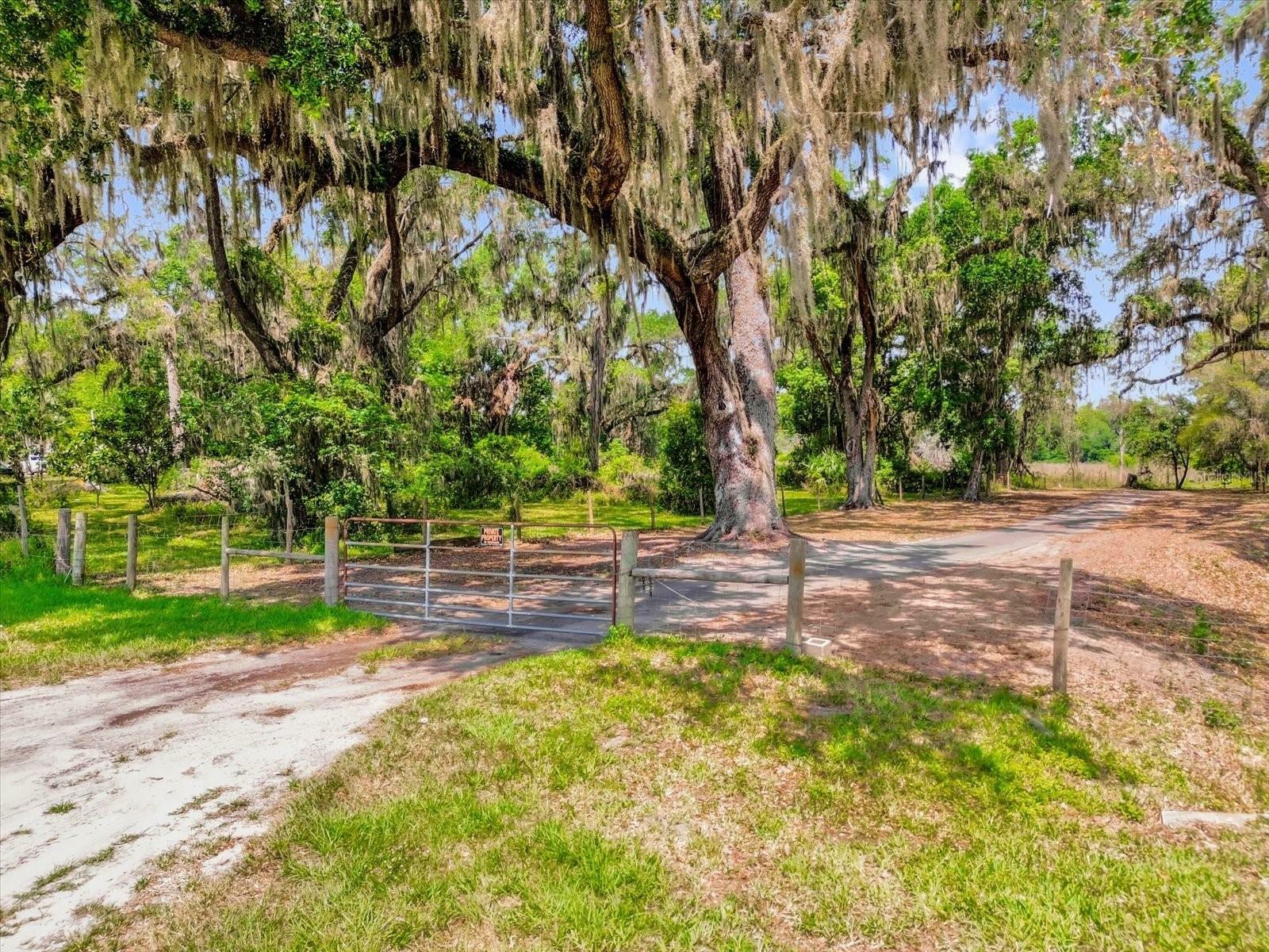 Property Photo: 2878 S US 301 FL 33585