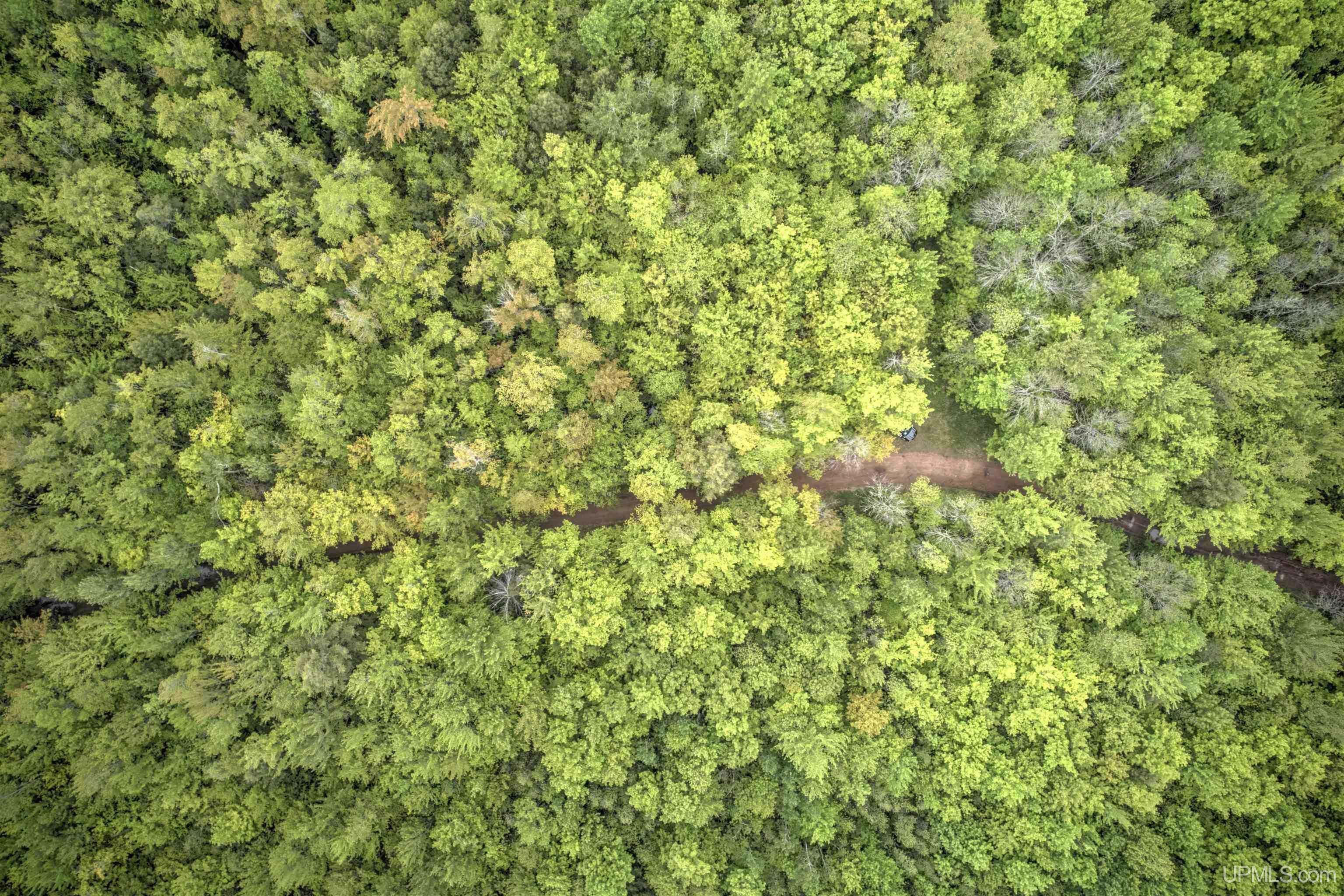 Property Photo: Tbd Sigan Road MI 49822