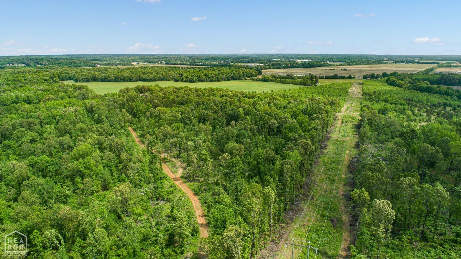 80 Cr 114  Jonesboro AR 72404 photo