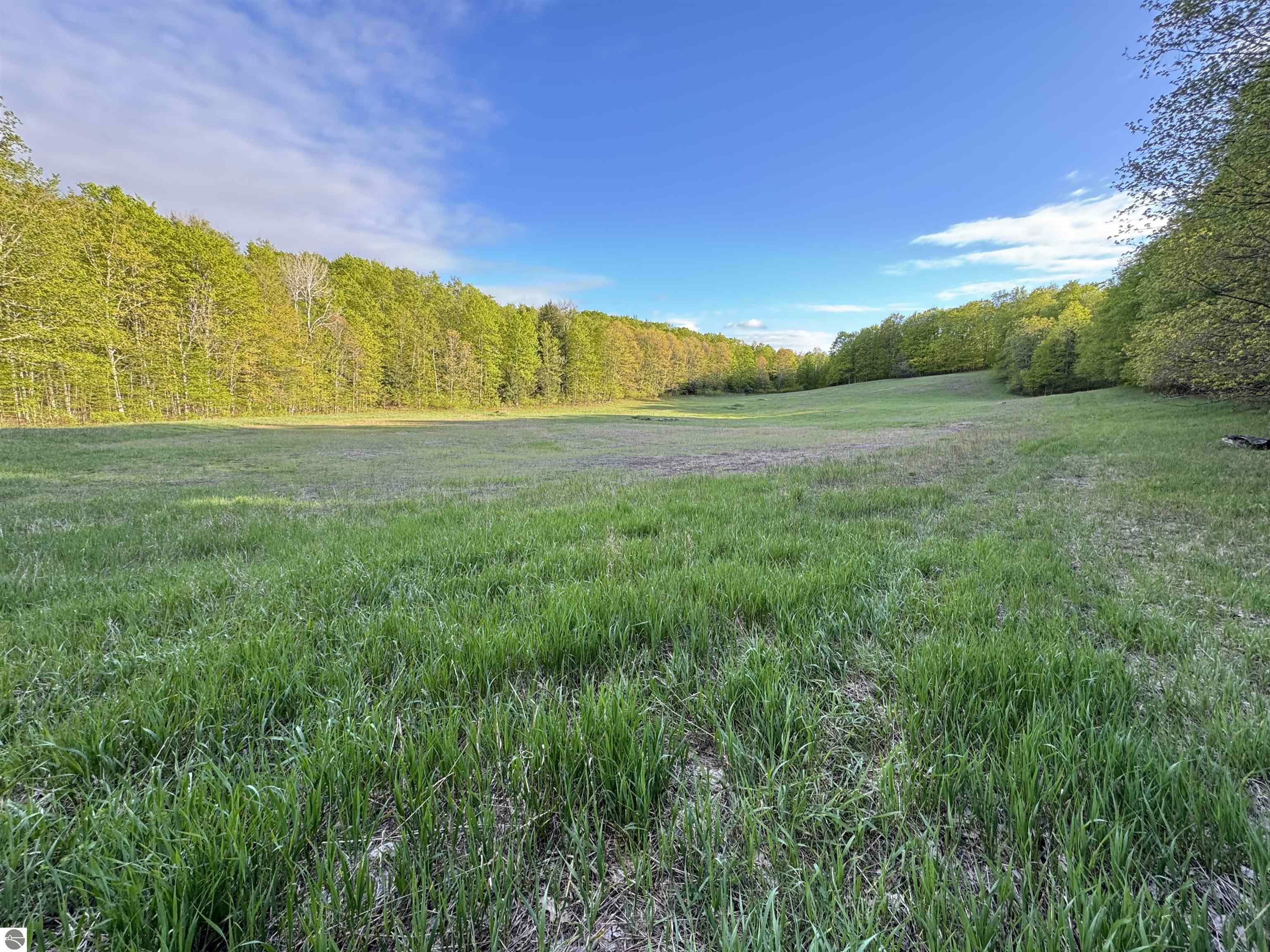 Property Photo: 00 W Empire Highway MI 49630