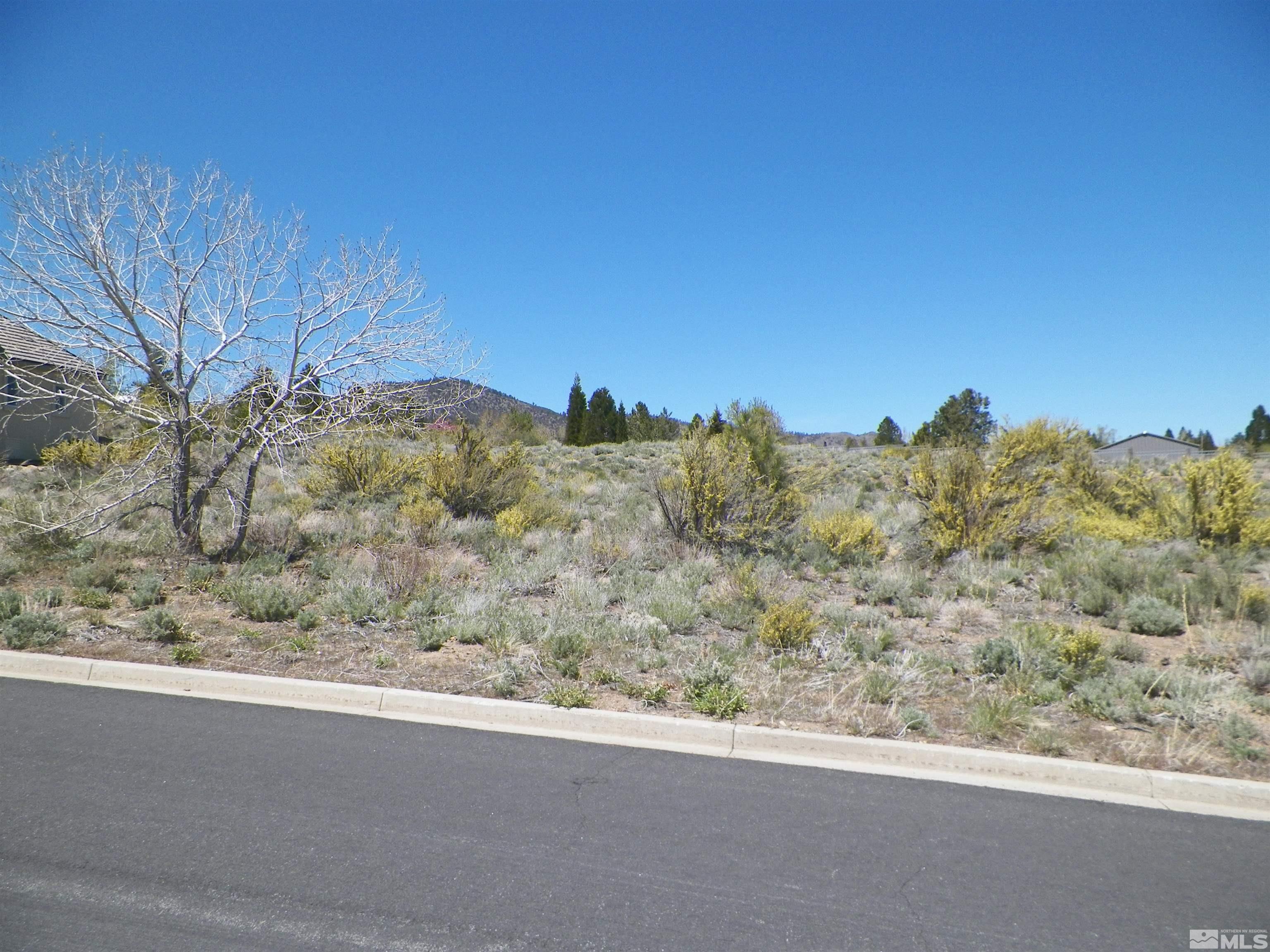 Property Photo:  6360 De Chardin Lane  NV 89511 
