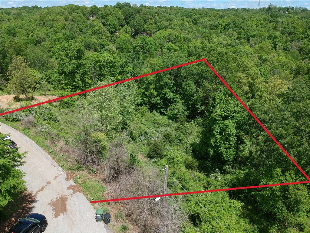 Property Photo: 2.46 Acres Monte NE Estates Drive AR 72758