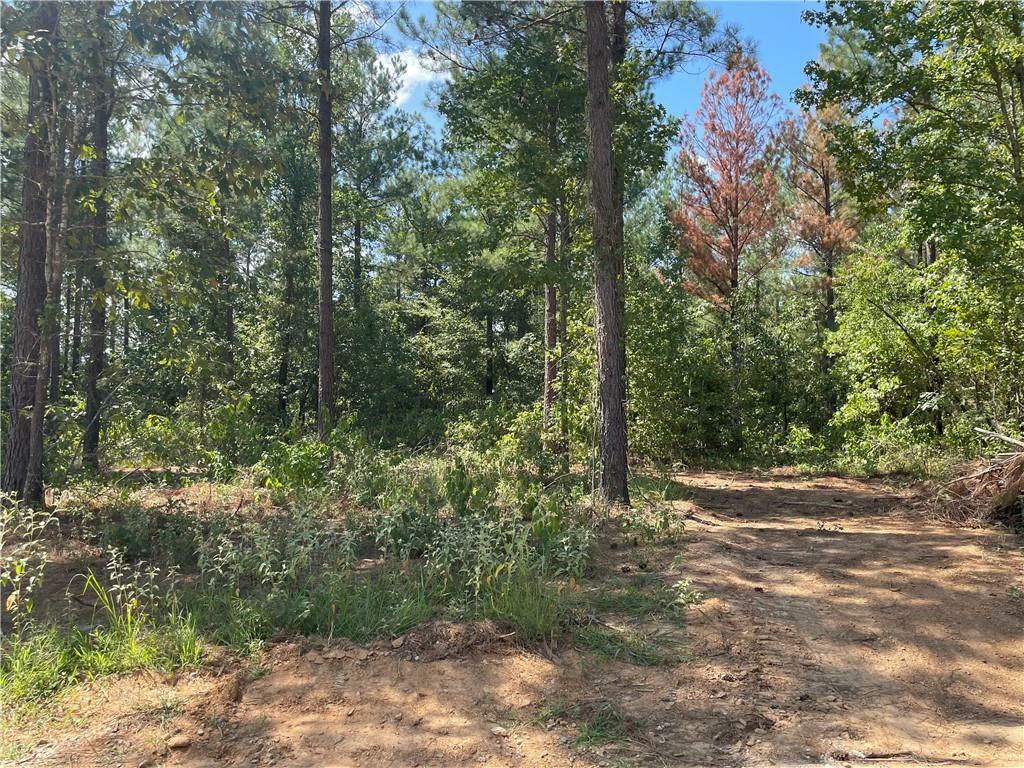 Property Photo: 51 Cedar Hills Trail OK 74728