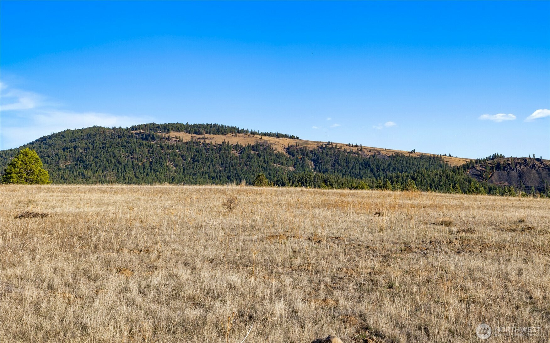 Property Photo: 1278 Mountain Creek Drive WA 98922