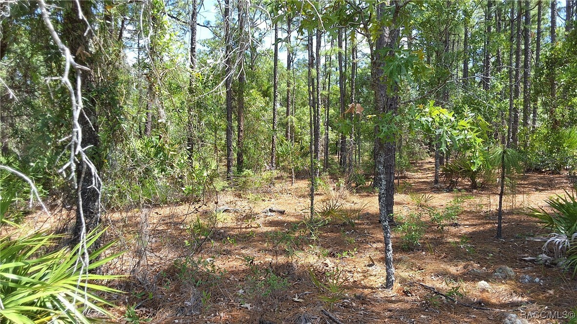 Property Photo: 4470 W Pansy Lane FL 34465