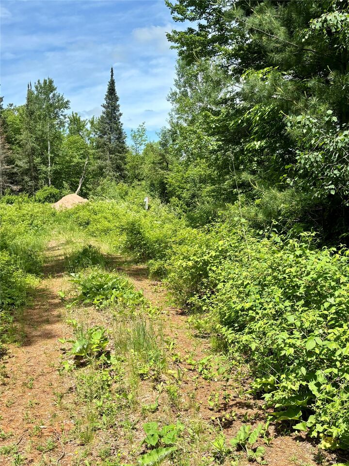 Property Photo:  16550 W Ridgerock Road  WI 54843 