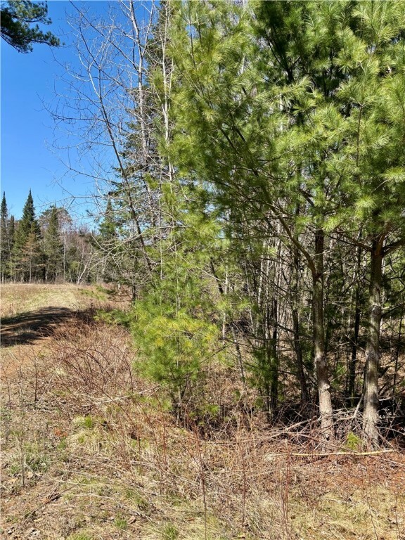 Property Photo: 16550 W Ridgerock Road WI 54843