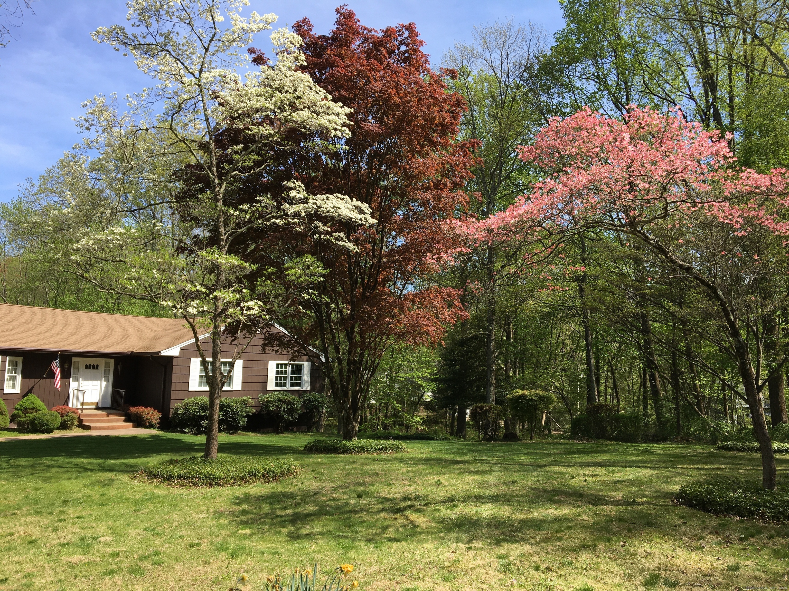 Property Photo: 119 Pease Road CT 06525