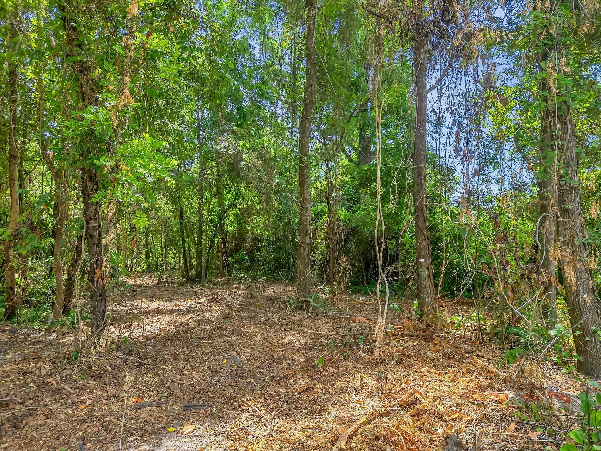 Property Photo: Xxx Woodville Highway FL 32327
