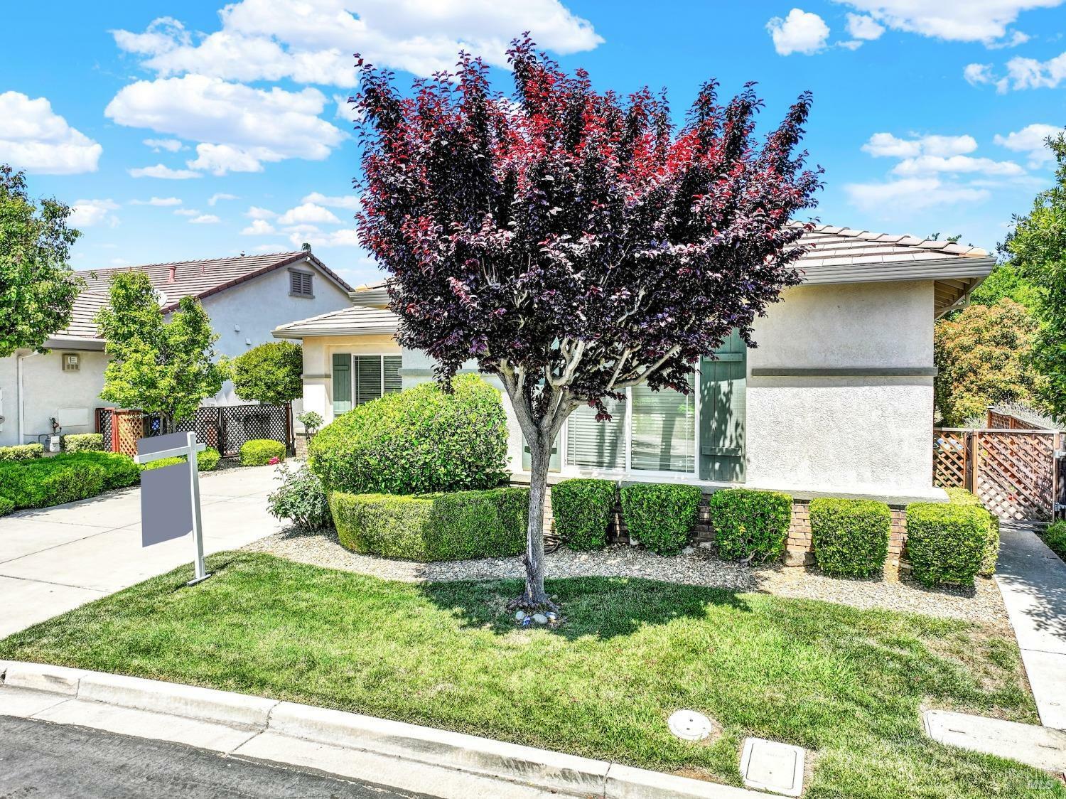 Property Photo: 939 Suntan Lane CA 94513