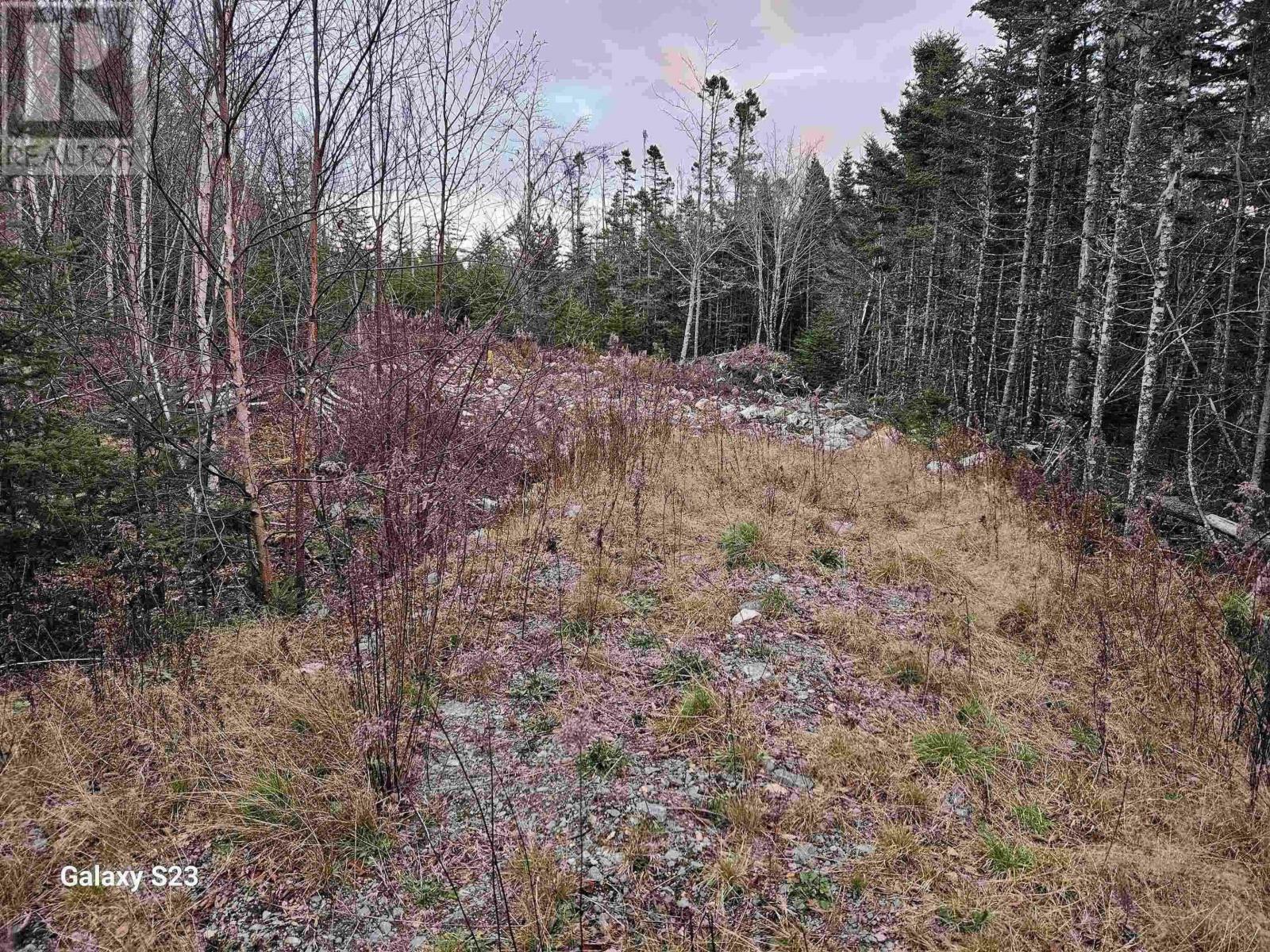 Property Photo: 165 Ostrea Lake Road NS B2Z 1E9