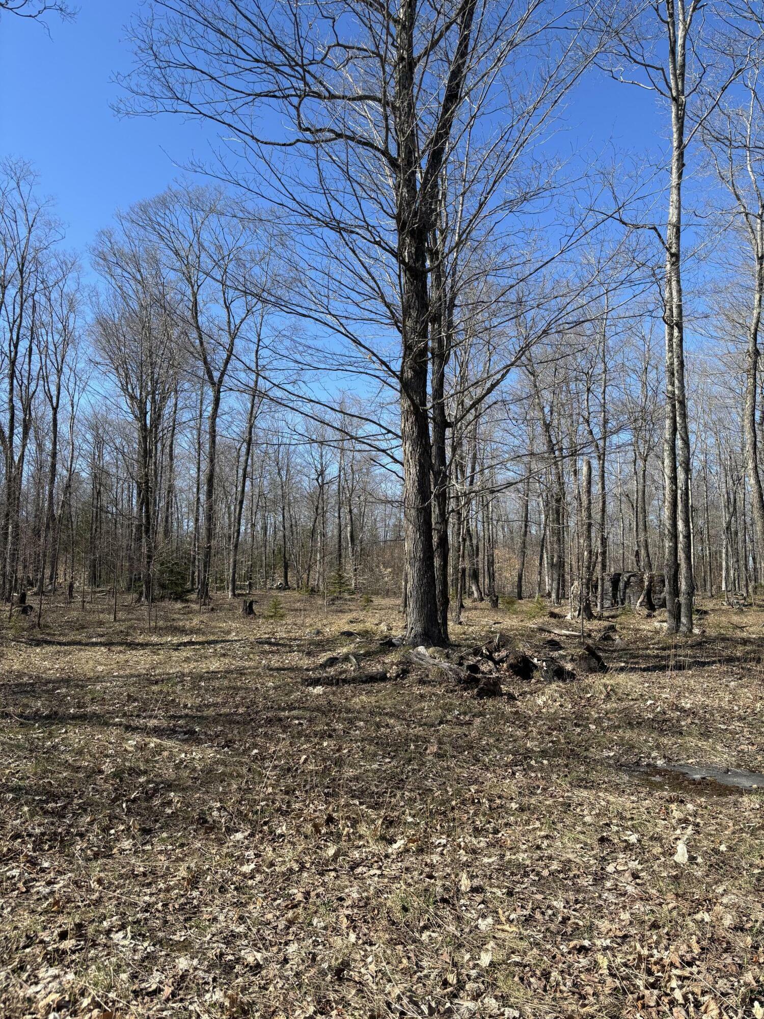 Property Photo: Tbd S Walding Rd MI 49726