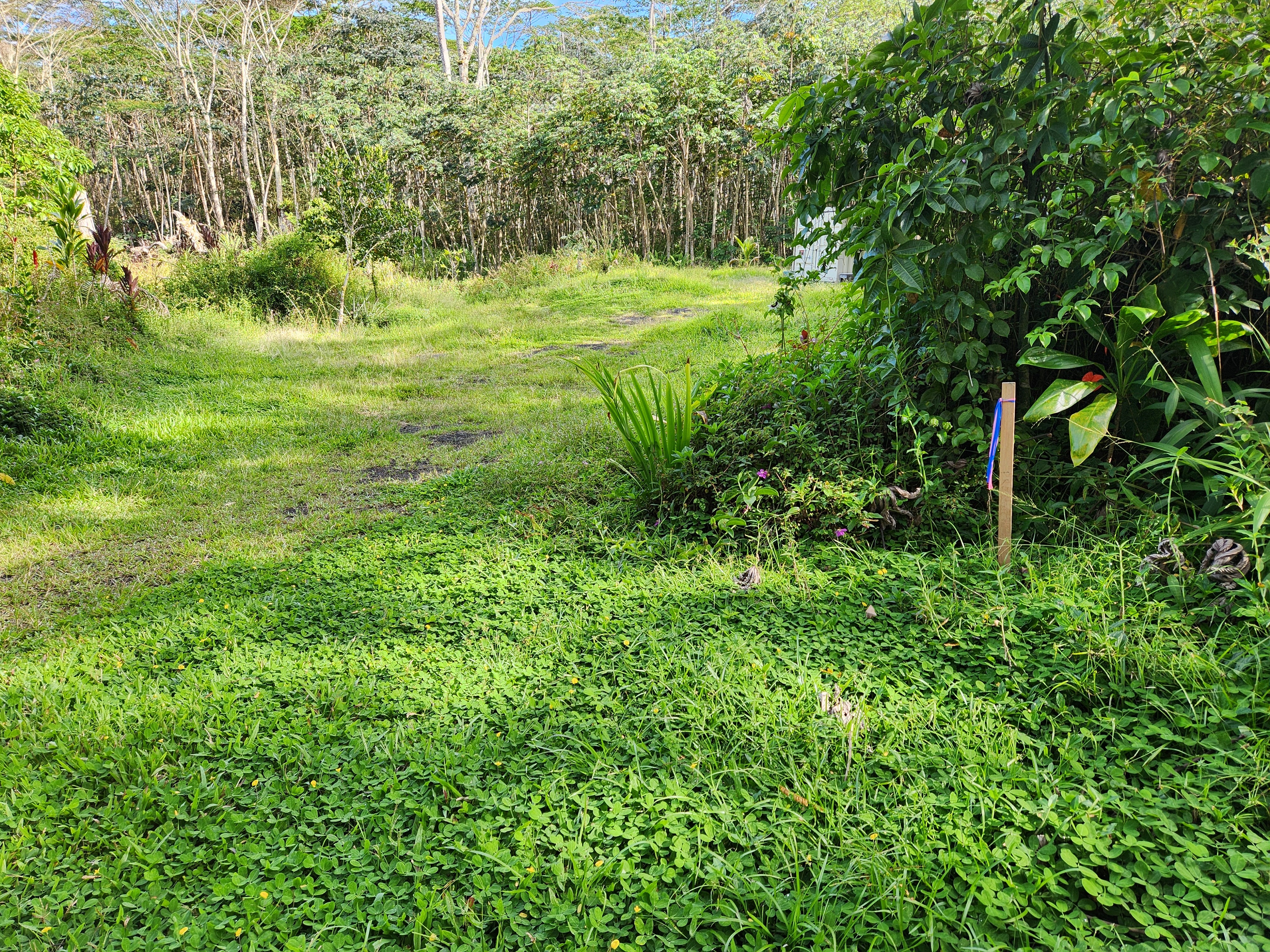 14-3332 Lehua Rd  Pahoa HI 96778 photo
