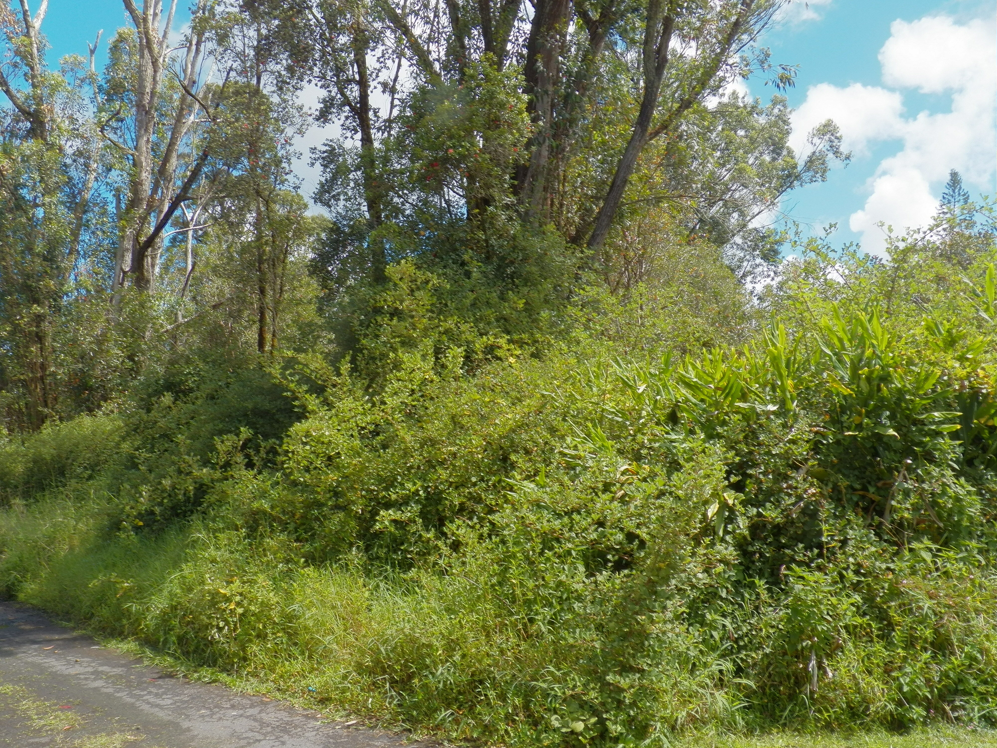 Property Photo: Hinuhinu St HI 96785