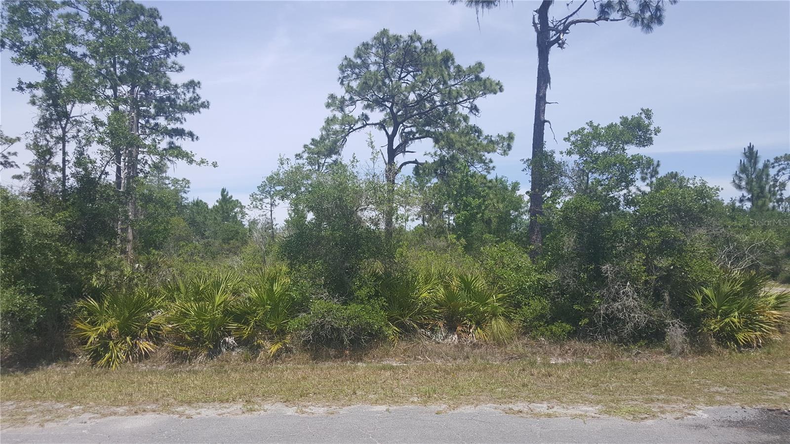 702 Indian Lake Drive  Indian Lake Estates FL 33855 photo