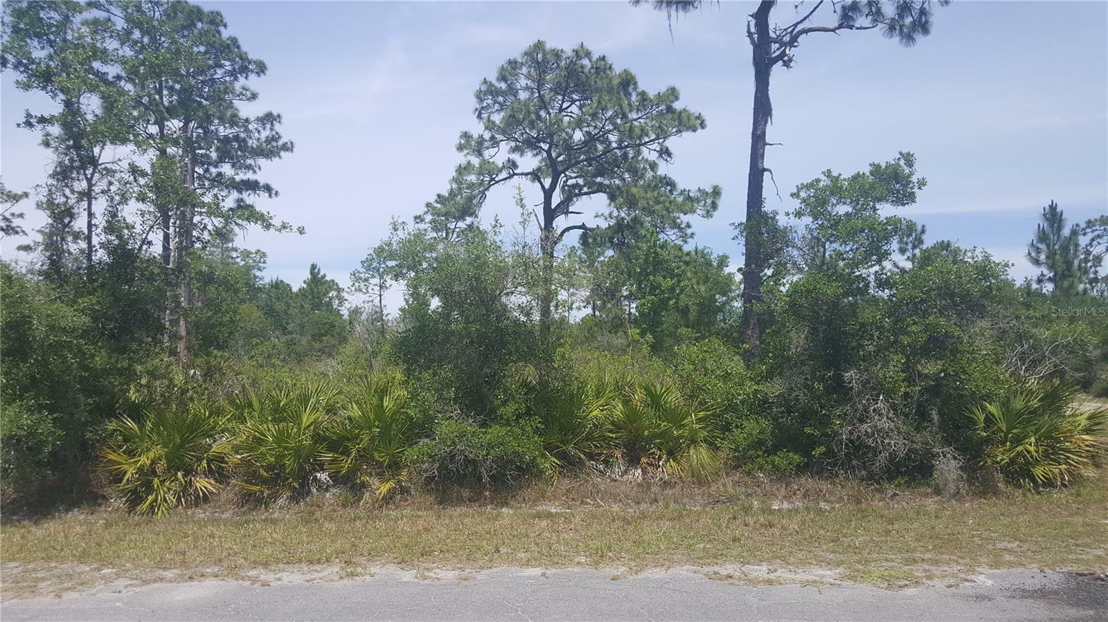 Property Photo: 702 Indian Lake Drive FL 33855
