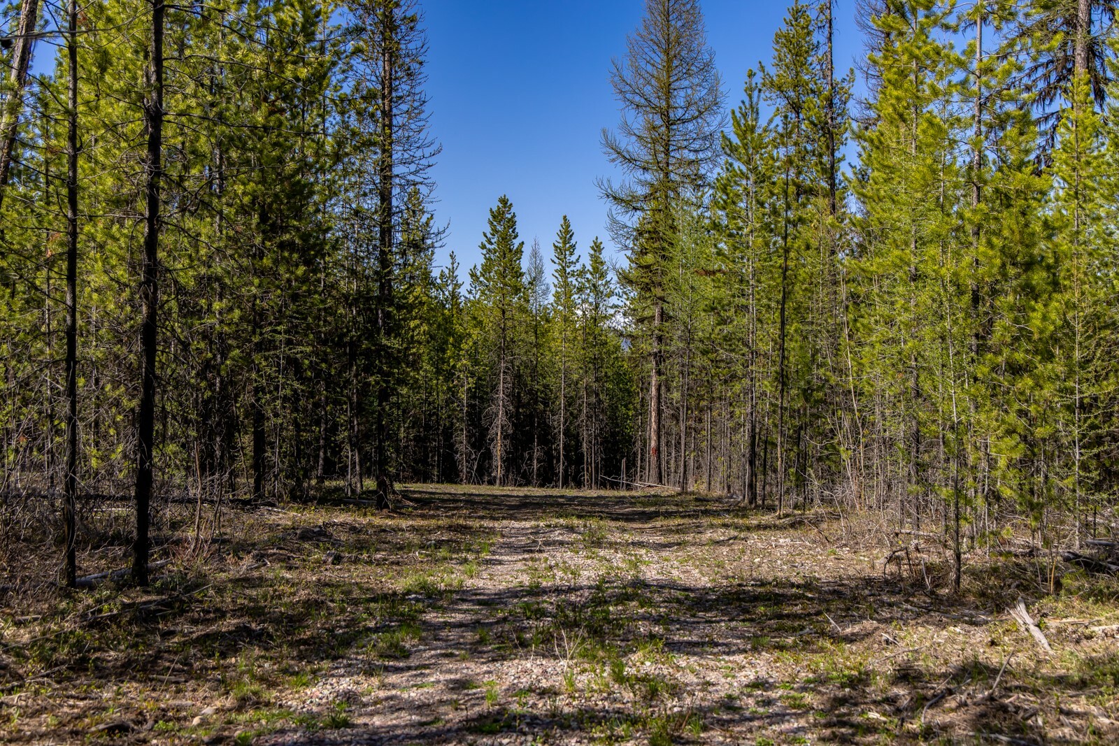 Property Photo: 11553 North Fork Road MT 59928