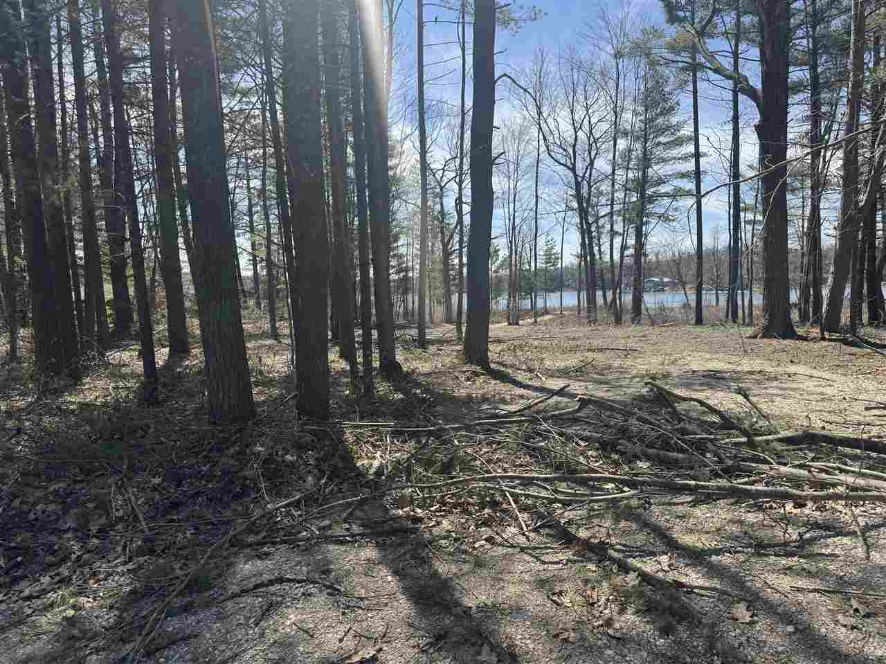 Property Photo: 1253 N Heart Lake MI 49735