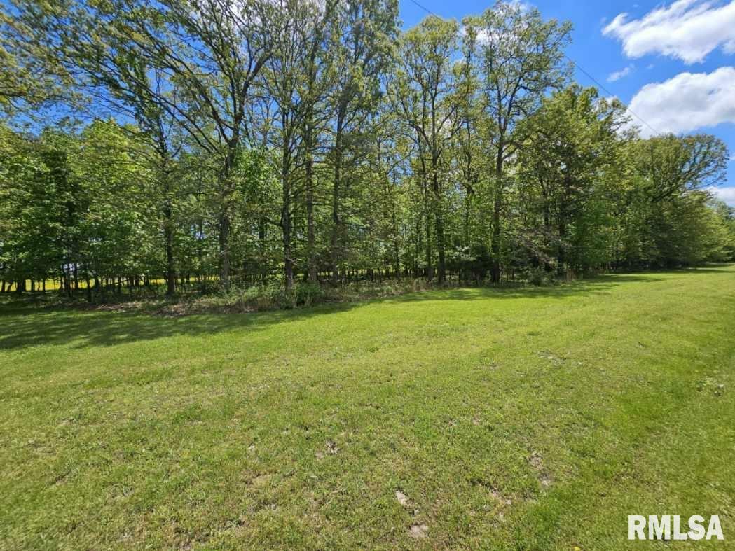 Property Photo: Lot 2 N Wildwood Place IL 62830