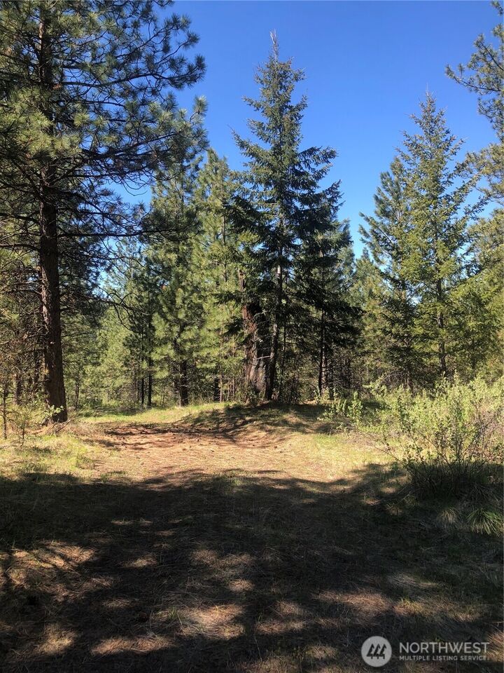Property Photo: 0 Ridge Top Drive WA 98855