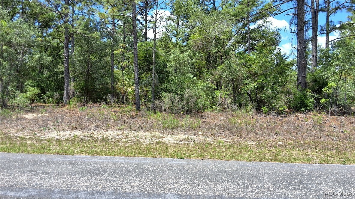 Property Photo: 7238 N Maltese Drive FL 34433