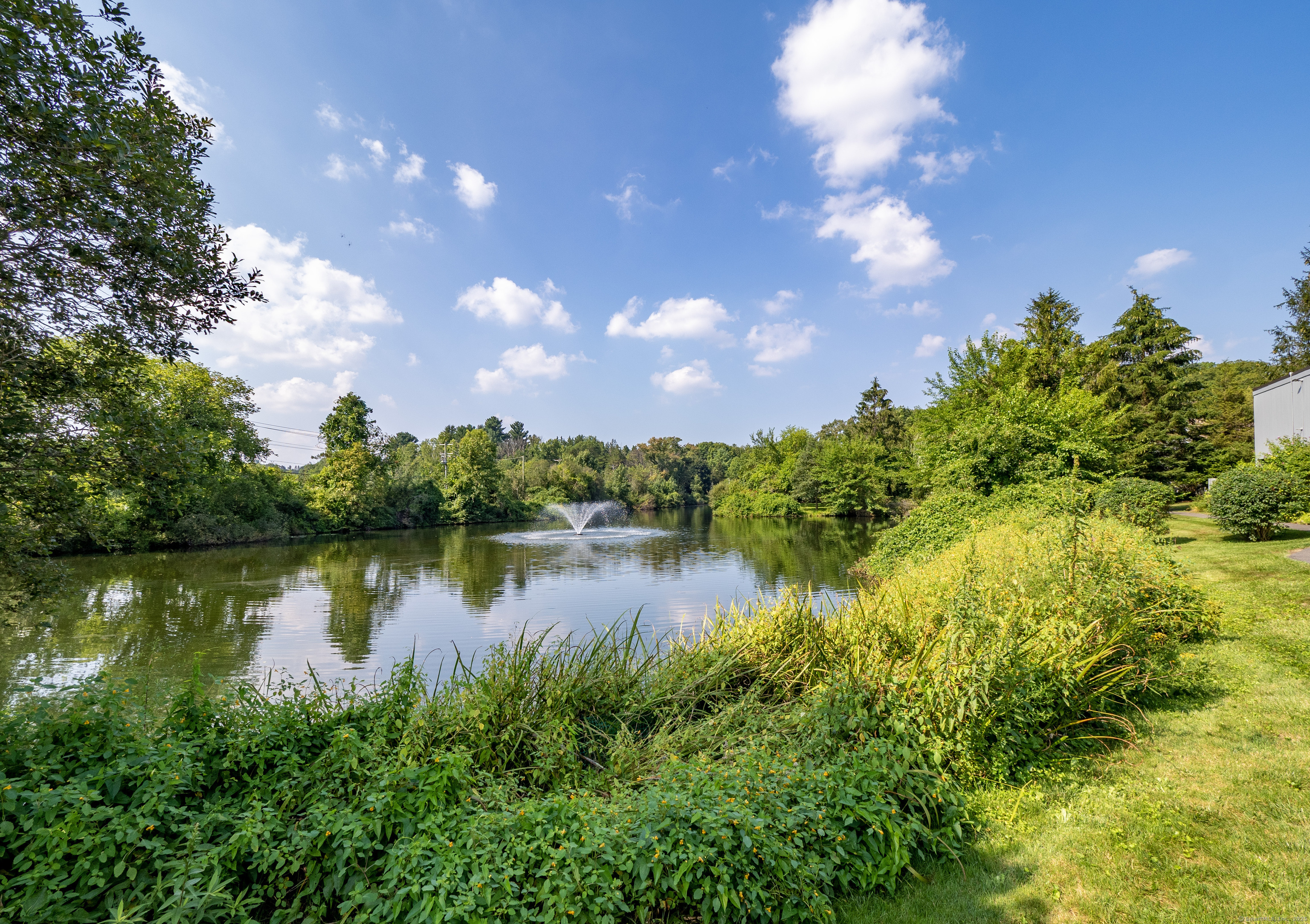 Property Photo: 4 Sandlewood Lane 4 CT 06877