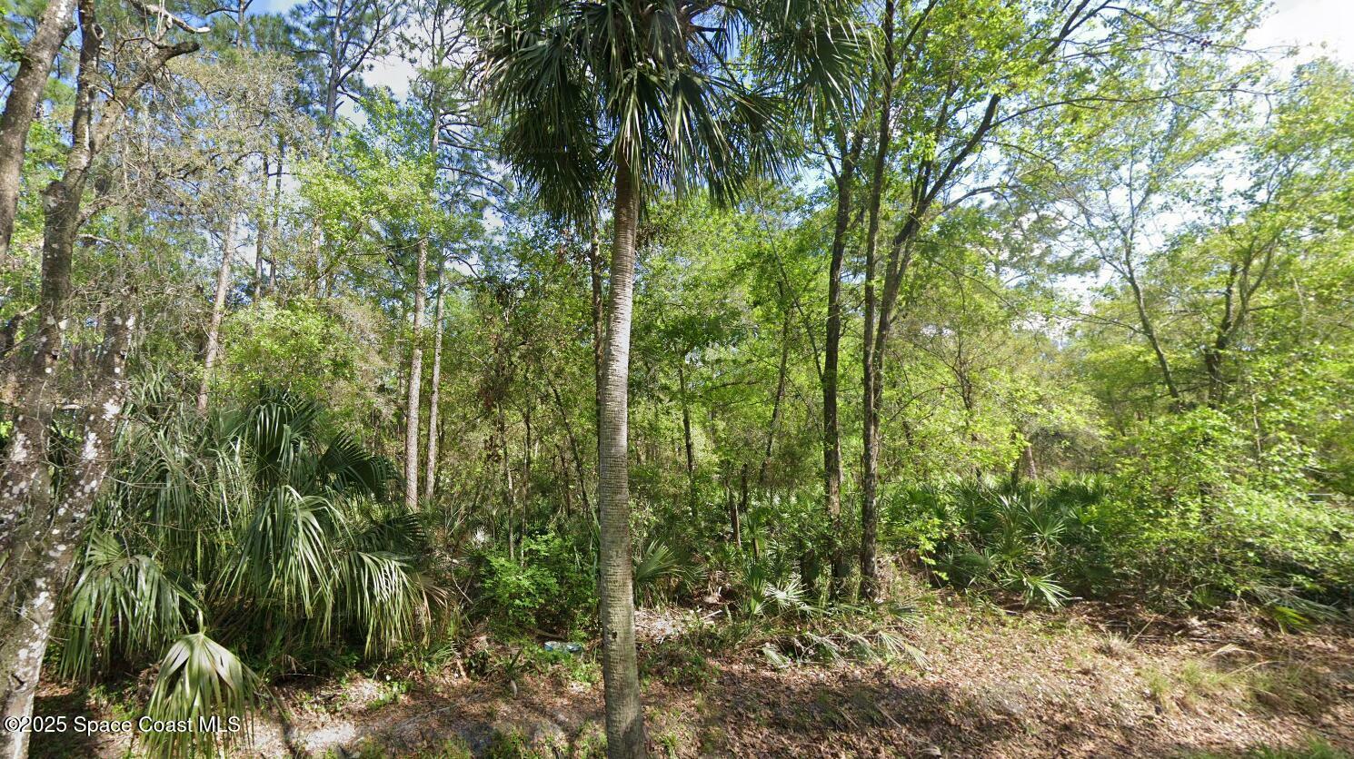 Property Photo: 0 Quail Ranch Road FL 32168