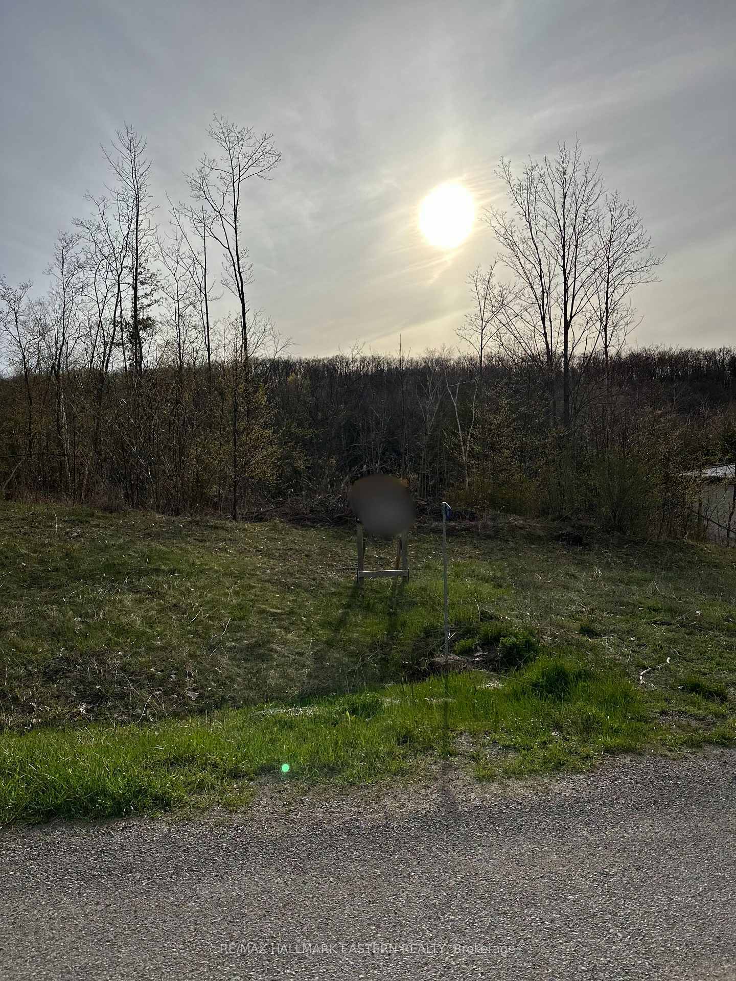 62 Trent View Drive  Trent Hills ON K0L 1Y0 photo