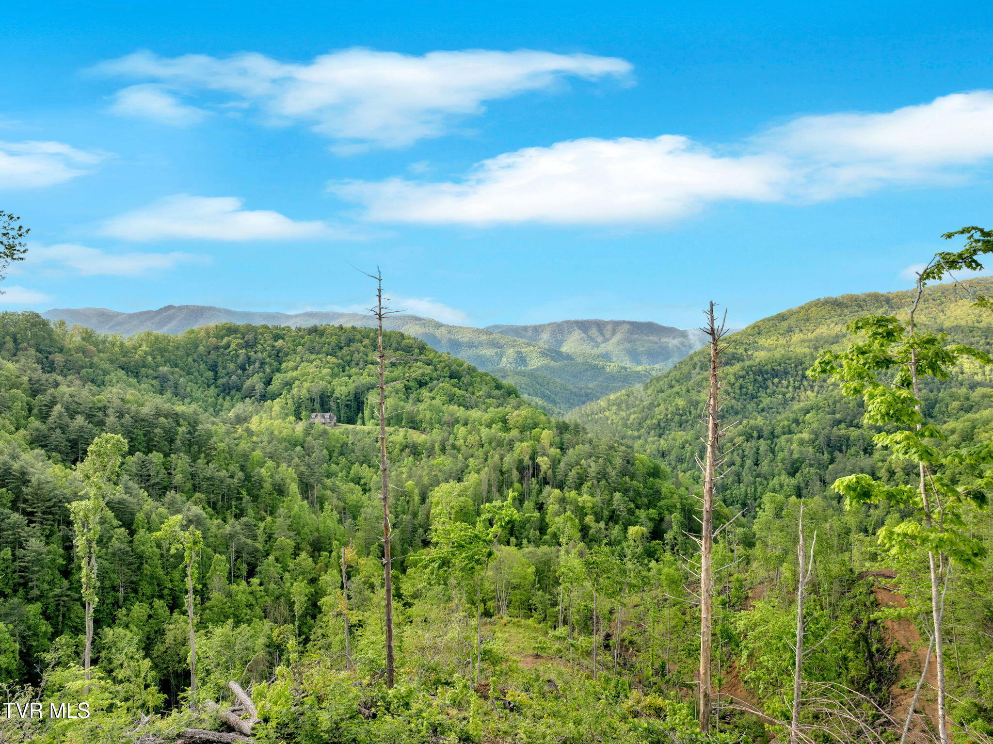 Property Photo: 59.8 Acres Willis Cove Road TN 37650