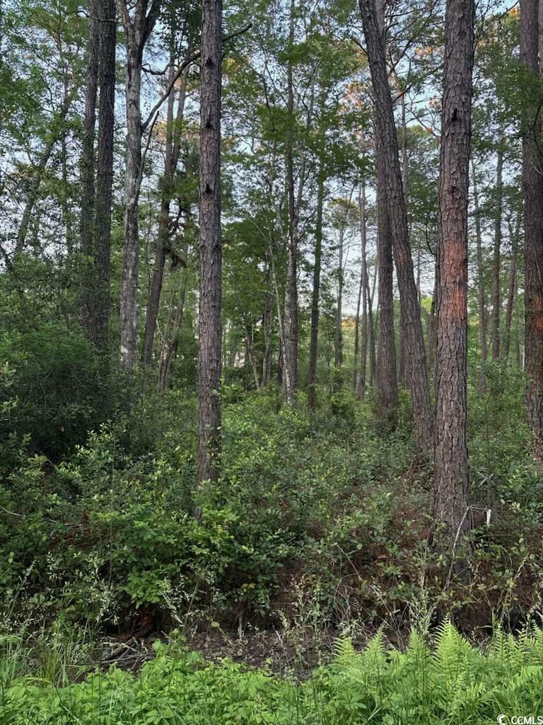 Property Photo: 3 Thicketwood Dr. NC 28467