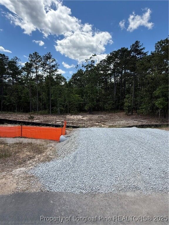 Property Photo: 597 Blossom Trail NC 27546